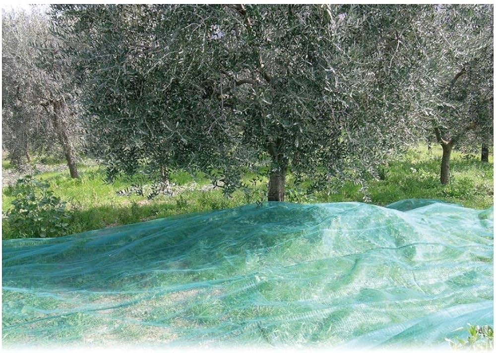 RETE PER RACCOLTA OLIVE 'ANTISPINE' TELO 8x12 MT - immagine 3